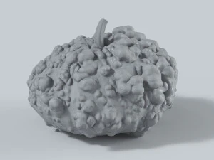 005 Ab&oacute;bora Modelo 3D