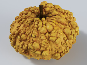 005 Pumpkin 3D-Modell
