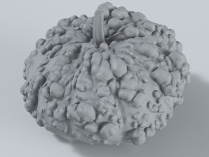 005 Pumpkin 3D-Modell