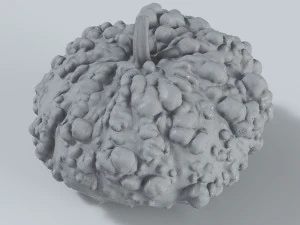 005 Ab&oacute;bora Modelo 3D