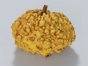 005 Ab&oacute;bora Modelo 3D