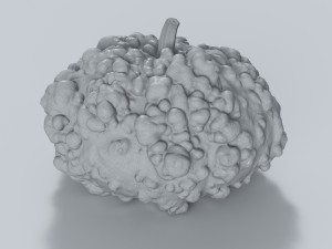005 Pumpkin 3D-Modell