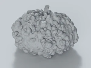 005 Ab&oacute;bora Modelo 3D