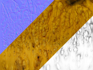 005 Pumpkin 3D-Modell