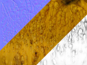 005 Ab&oacute;bora Modelo 3D