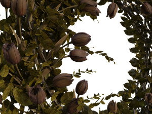 old vase with flowers and wreath 3D Model