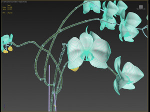 orchid in a glass flowerpot Modelo 3D