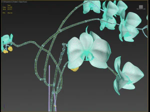 orchid in a glass flowerpot 3D Model