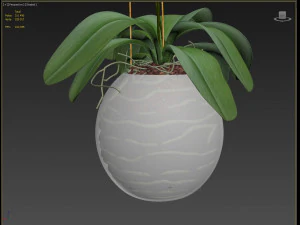 orchid in a glass flowerpot 3D Model