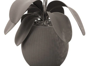 orchid in a glass flowerpot 3D Model
