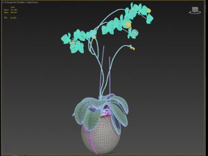 orchid in a glass flowerpot Modelo 3D