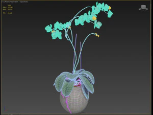 orchid in a glass flowerpot 3D Model