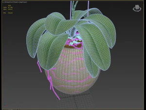 orchid in a glass flowerpot 3D Model