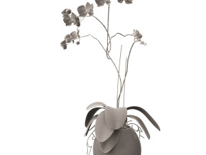 orchid in a glass flowerpot Modelo 3D