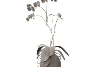 orchid in a glass flowerpot 3D Model