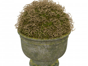 street vases 3D 모델