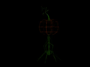 monster pumpkin 3D Model
