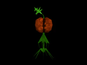 monster pumpkin 3D Model