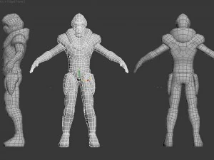 mlwr 3D Model