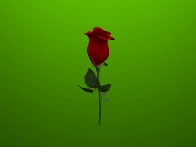 red rose 3D Model .c4d .max .obj .3ds .fbx .stl .blend 