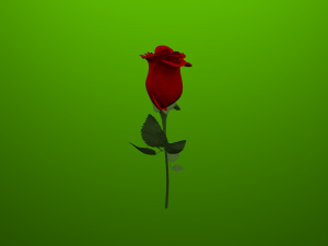 red rose 3D 모델