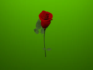 red rose 3D Model