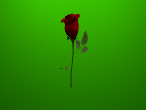 red rose Modelo 3D