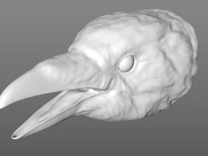 testa di corvo Modello 3D