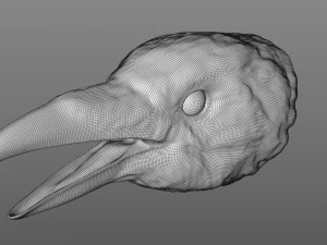 ravens head 3D Model