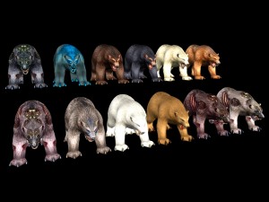 12- fighter bear collection for game 3D Model