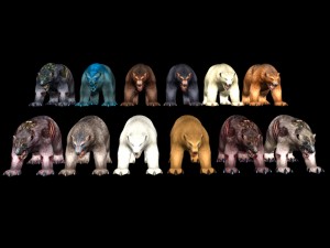 12- fighter bear collection for game 3D Model