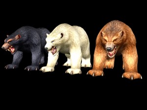 12- fighter bear collection for game 3D Model