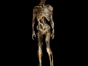 skeleton monster 3Dモデル