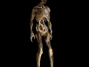 skeleton monster 3D Model