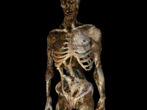 skeleton monster 3D Model