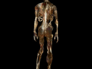 skeleton monster 3D Model