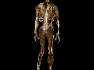 skeleton monster 3D Model