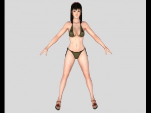 sexy bikini girl 03 Modèle 3D