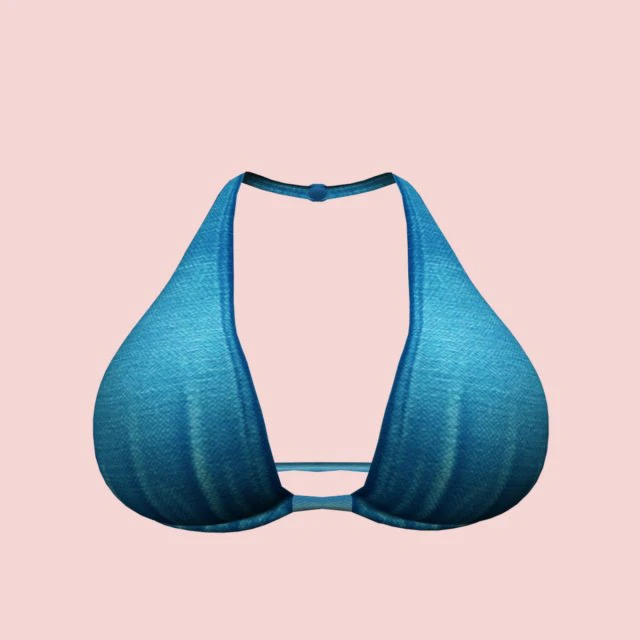sexy blue bra 01 3D Model .c4d .max .obj .3ds .fbx .stl .blend 