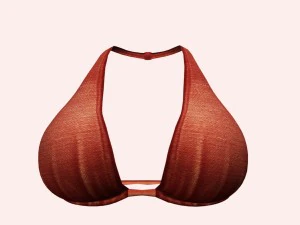 seksowny czerwony biustonosz 01 Model 3D