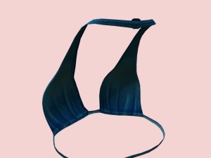 05y bra pack Modèle 3D