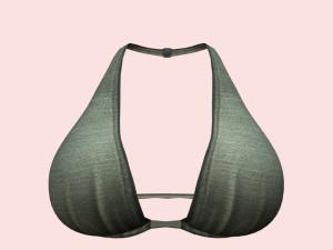 05y bra pack Modèle 3D
