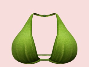 05y bra pack Modèle 3D