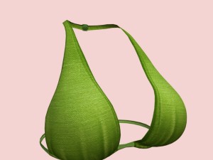 05y bra pack Modèle 3D