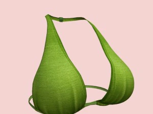 05y bra pack 3D Model