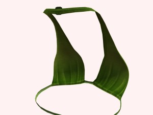 05y bra pack Modèle 3D