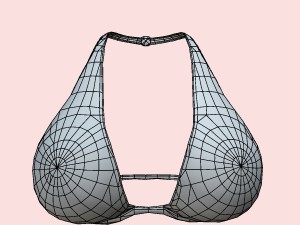 05y bra pack Modèle 3D