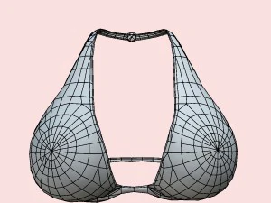05y bra pack 3D Model