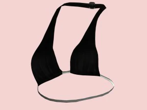 05y bra pack 3D Model