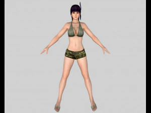 11 beautifuly seductive bikini girls collection festival offer 3D Model